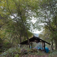 #57 홍천 에코밸리 캠핑장, 다양한 체험과 자연 친화적인 노지 숲속캠핑을 즐기세요