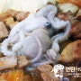 [메뉴 연구] 국물 낙지삼겹살 만들기 - 인천 연수동 맛고을길 먹자거리 맛집 연탄가면돼지