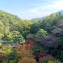 화담숲 단풍놀이: 서울근교 단풍놀이 가볼만한곳추천, 화담숲 예약시간