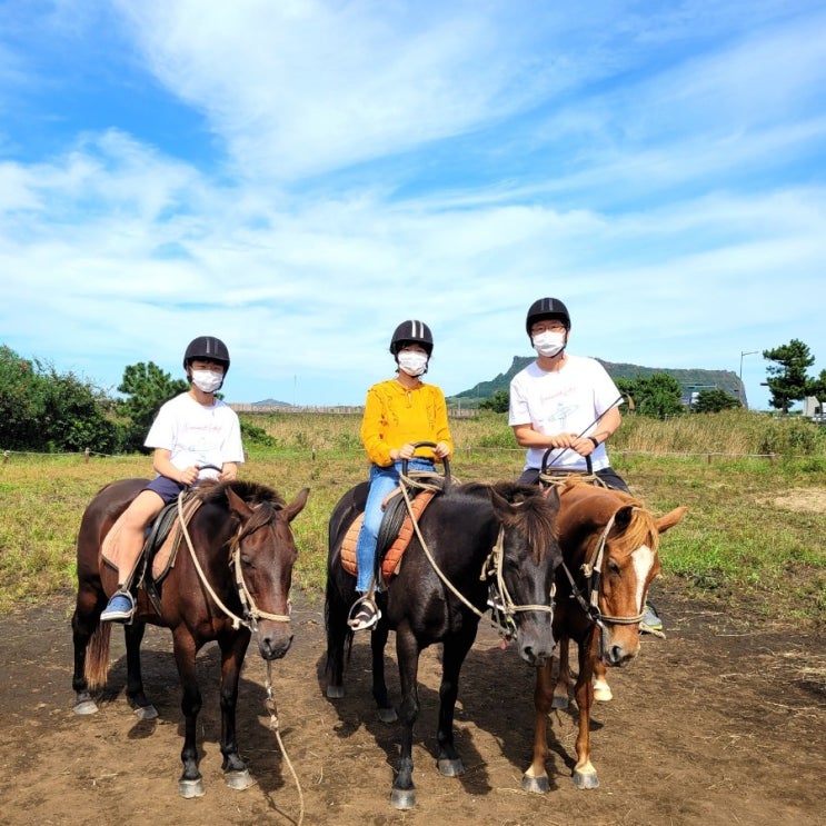 제주도 성산일출봉 근처 졸띠 체험승마(구 광치기 해변 승마)...