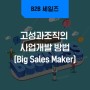 고성과조직의 사업개발 방법 (Big Sales Maker)