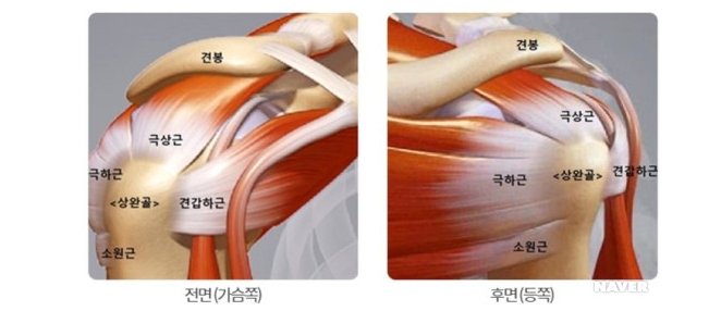[대치동 스트레칭] 스트레치뱅 회전근개 파열 : 네이버 블로그