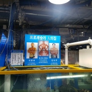 평촌수산시장 단골횟집 전남고흥수산, 대양수산 추천