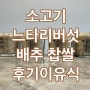 후기 이유식, 소고기 느타리버섯 배추 찹쌀, 생후 335~338일