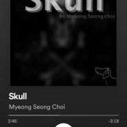 Release album “Skull”