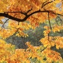 용마폭포공원 = 단풍 & 문인들의 시(詩) 전시회가 있는 가을 풍경.