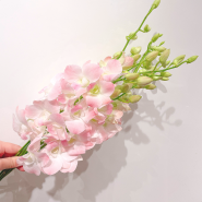 [ 2021. 10. 28 ] 스노우폭스플라워 오늘의 꽃