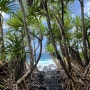 하와이 여행 - 빅아일랜드 (3) 정글에서의 이틀