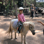 [물룰라 밸리] 산속 시골집 여행 - 호주 Cottage 체험, 말타기, Horse Riding, 야외 자꾸지, 화덕피자