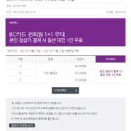 에버랜드 BC카드 1+1 입장 가능! (~11월 21일까지)