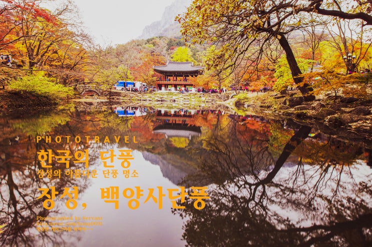 한국의 단풍명소: 장성 백양사 쌍계루 단풍 : 네이버 블로그