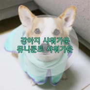 [내돈내산] 강아지 샤워가운_뮤니쿤트 샤워가운