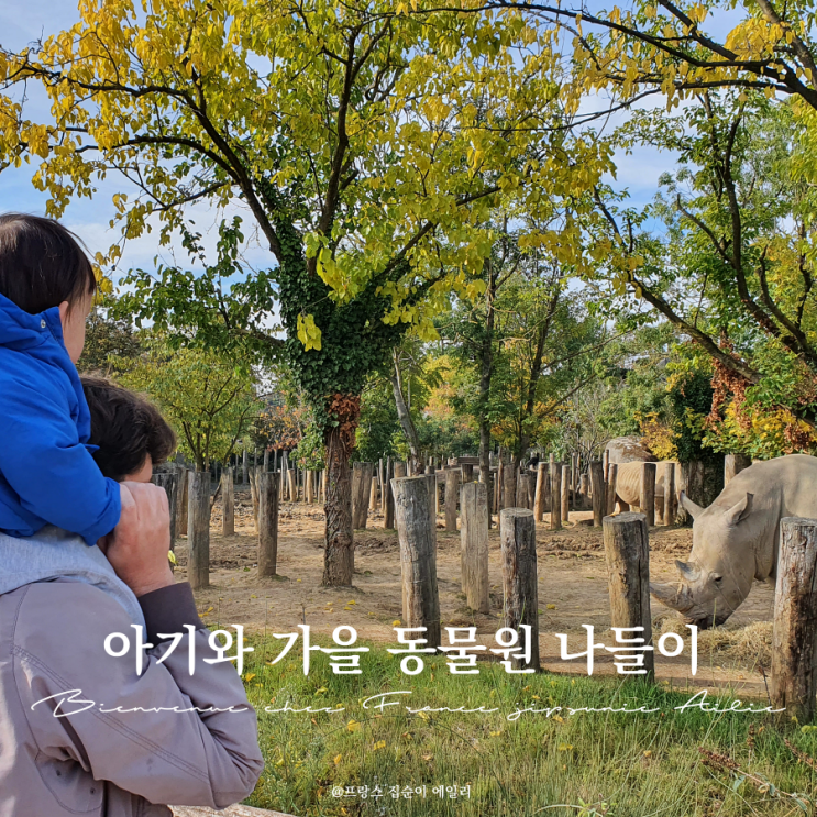 파리근교 뱅센 동물원으로 14개월 아기랑 가을 나들이, 티타임