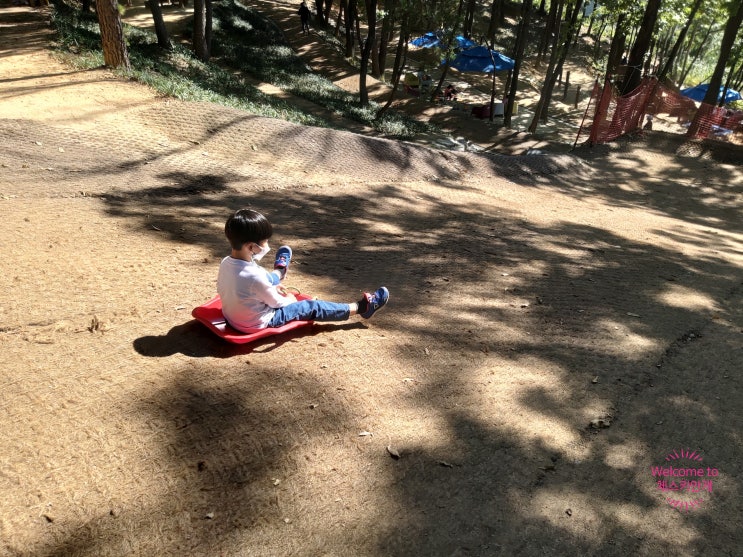 김천 구미 근교 아이와 가볼만한 곳 김천유아숲체험원 (짚라인...