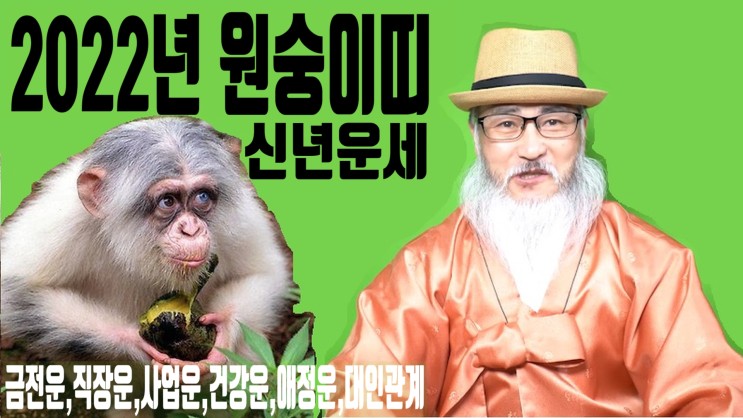 2022년 원숭이띠운세,임인년 잔나비띠 운세 보은도사 정확한 풀이! : 네이버 블로그