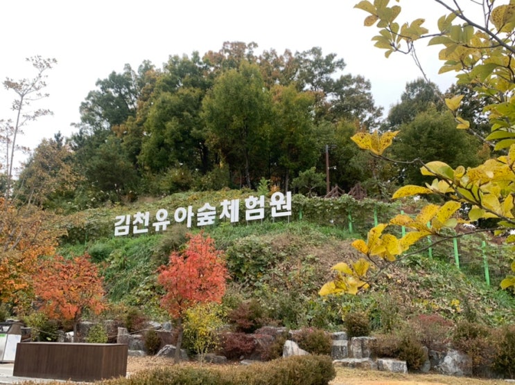 경북 김천 아이와가볼만한곳 김천유아숲체험원 숲놀이터...