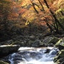 가평 단풍 " 석룡산 조무락골= 붉게 물든 단풍과 깨끗한 물이 흐르는 가을 풍경.