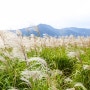 양산 황산공원 가을 풍경을 담다.