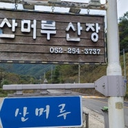 울산 울주 작천정펜션 산머루산장에서 하루보내기