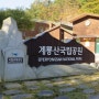 kt동우회산악회(대전 충남) 온라인 전국합동 산악축제(보문산, 식장산, 빈계산, 계룡산)