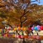 가을 단풍이 아름다운 김천 직지사