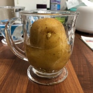 (소소한일상)감자 키우기