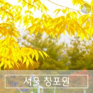 도봉동 가볼만한 곳, 서울창포원에서 가을구경한 날