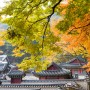 가을의 여정 / 남한산성 단풍 구경