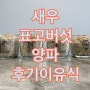 후기 이유식, 새우 표고버섯 양파, 생후 342~345일