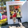 아이와 함께 부산 나들이, 남구 평화공원 국화축제