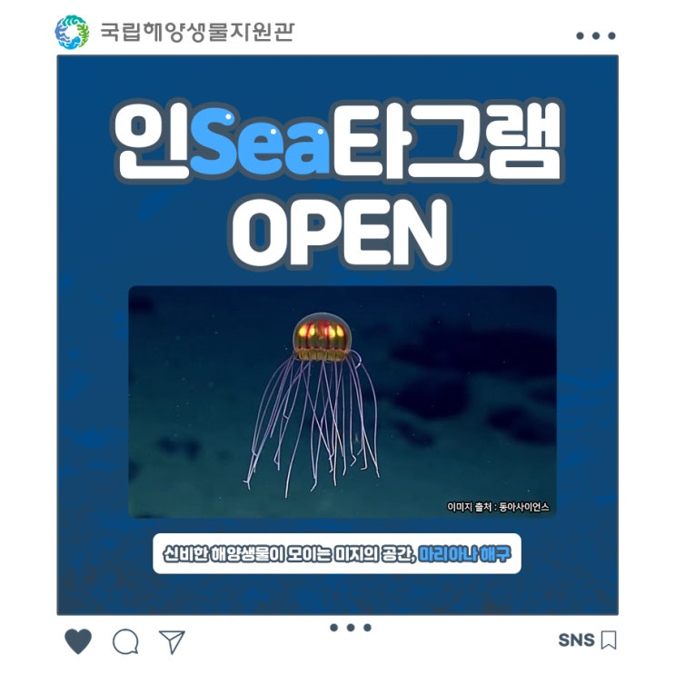 [인Sea타그램]신비한 해양생물이 모이는 미지의 공간, 마리아나 해구 : 네이버 블로그