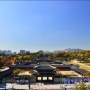 서울단풍 좋은 곳 창경궁 춘당지 부근