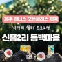 [신흥2리 동백마을] 제주 웰니스 관광지 오픈클래스 체험