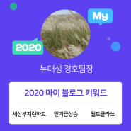 [2020 마이블로그 리포트] 한 눈에 보는 올해 내 블로그 데이터!