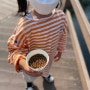 부산시민공원 잉어 먹이주기 아이와 갈만한 곳