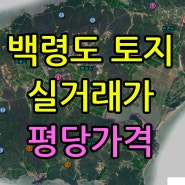 백령도 토지 실거래가 지목별 평당가격 / 백령도부동산 시세(땅값)입니다