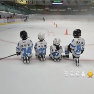 서울 목동 강남 용인 수지 판교 분당 하키머신 어린이 아이스하키 클럽