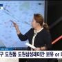 부동산전문가 신화선 SBS Biz TV [부동산 해결사들] 방송 다시보기(21.11.4)