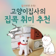 고양이 집사의 집콕 취미 추천!