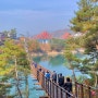 [제천여행] 청풍 여행지추천/ 남한강 최초 출렁다리 개통 "옥순봉 출렁다리" 를 다녀왔어요 !