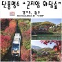 [경기도 광주] 서울근교 단풍명소 "곤지암 화담숲" 시간대별 예약후 방문하세요~~
