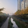 송파구 올림픽선수촌아파트의 가을풍경(11월5일)