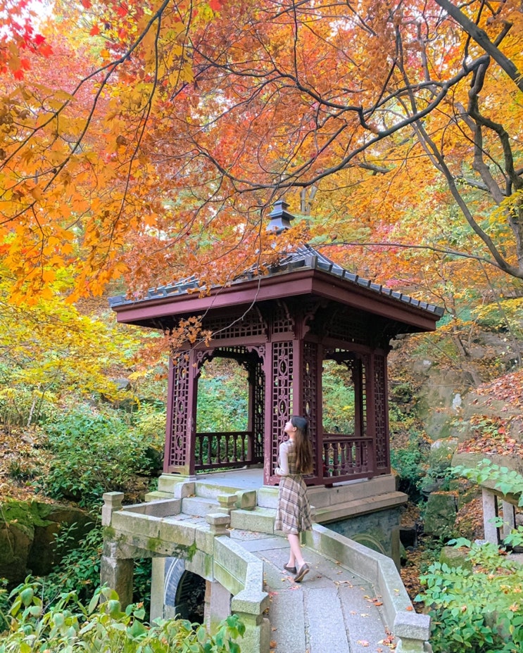 서울 가볼만한곳 부암동 석파정 서울미술관 전시 단풍 구경 : 네이버 블로그