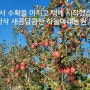 아삭하고 새콤달콤한 꿀맛같은 부사 미안마 수확마치고 택배 시작했습니다