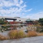 의외의 서울 단풍 명소 '국립중앙박물관 - 용산가족공원'