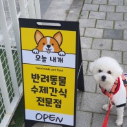 대전 덕명동 강아지용품점 & 강아지 수제간식 전문점 : 오늘내개 추천
