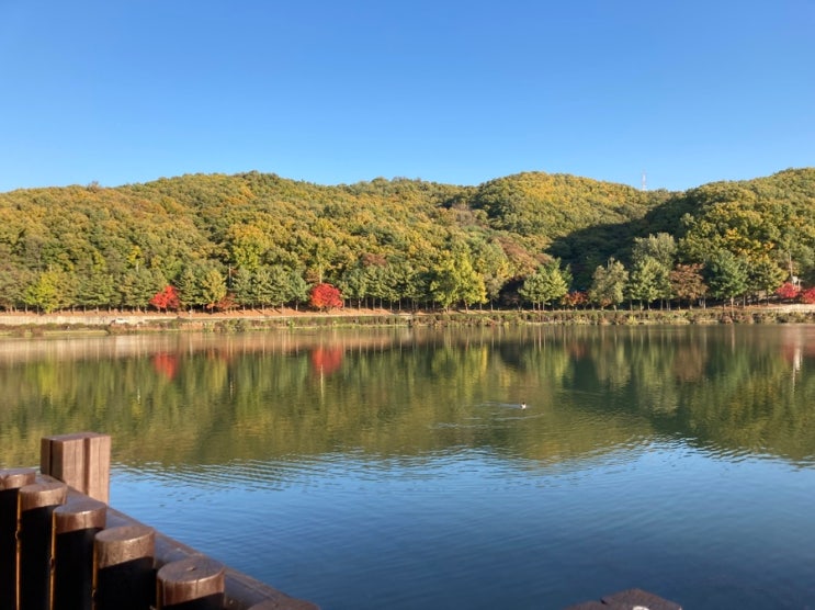 분당 아이와 가볼만한 곳 율동공원 주차비과 산책코스 추천 : 네이버 블로그