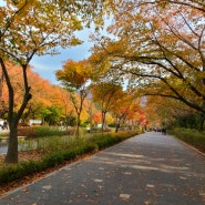 경기도 단풍명소 서울대공원, 과천 아이와 함께 가볼만한곳