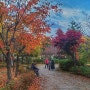 알록달록 가을가을한 초안산 근린공원 산책! 운동!