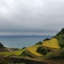 [경남] 남해 : 다랭이마을 & 은모래해수욕장 (2021년 9월)